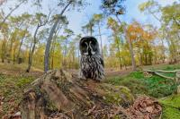 IMMERSION 360° DANS LA VIE SAUVAGE