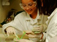 CAP SCIENCES JUNIORS - CHIMIE VERTE 