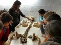 CAP SCIENCES JUNIORS - ARCHEOLOGIE 