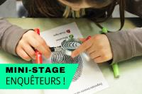 MINI-STAGE ENQUETEURS