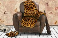 Bienvenue chez les Préhistos !